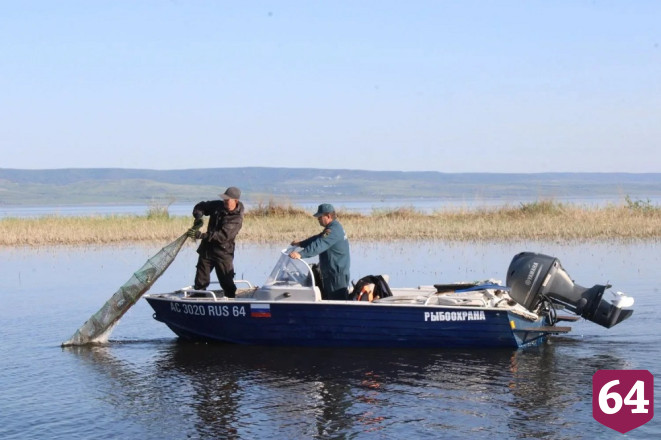 В воду из сетей браконьеров выпустили более 400 кг рыбы 