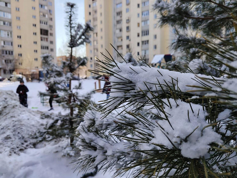 Саратовцев предупредили о морозе в 25 градусов и ниже