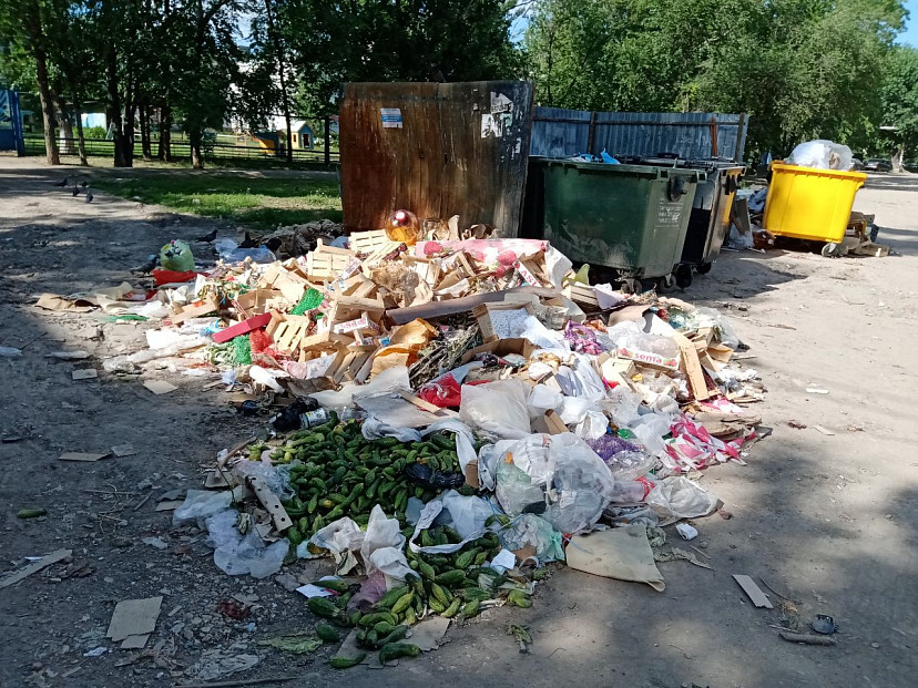 В Энгельсе уличные торговцы усыпали дорогу гнилыми овощами