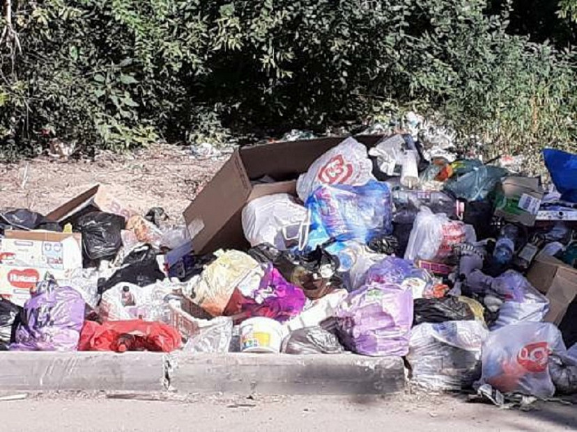 Саратовцы пожаловались на логово крыс в свалке отходов