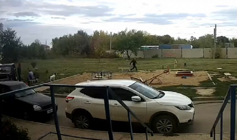 Бродячая собака покусала ребенка у детской площадки 