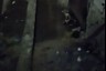 Погреба жителей Саратова затапливает кипятком 