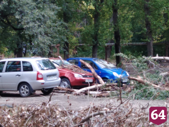 Огромный ствол дерева рухнул на дорогу рядом с машинами