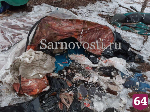 На острове в акватории Волги нашли лодку с обглоданным телом рыбака