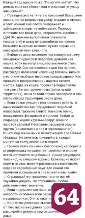 По Саратову гуляет бездомный «мини-леопард»