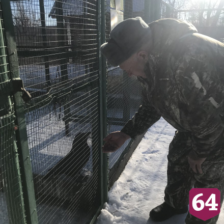Под Саратовом лесной ворон разговаривает на иностранном языке