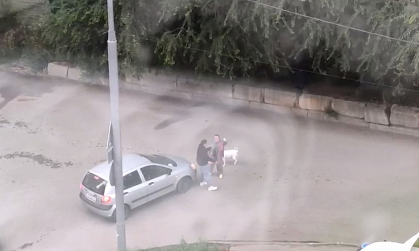 В Саратове автоледи после ДТП устроила скандал на дороге 