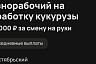 Озвучена зарплата упаковщика креветок в Саратове