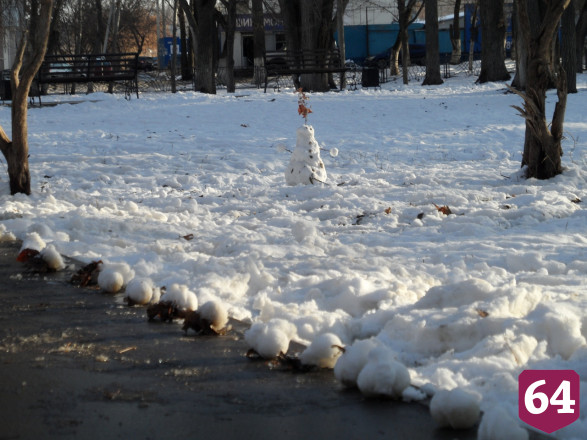 Горожане делятся в сети фотографиями предновогоднего Саратова