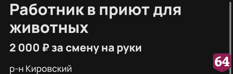 Саратовский приют для собак ищет сотрудника на зарплату 2 тысячи рублей 