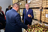 Губернатор проверил на вкус яблочный сок балаковского завода 