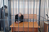 В Саратовской области курьеру мошенников вместо 2,6 млн рублей вручили муляж