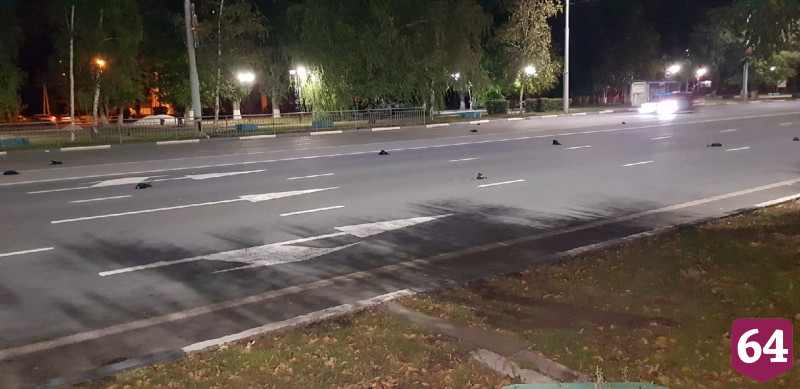 Ветеринары выясняют причину массовой гибели птиц в Саратовской области