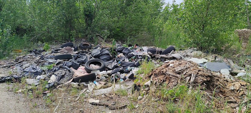 Горожанин пожаловался на растущую нелегальную свалку