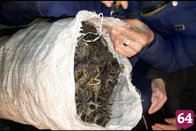 Браконьеров наказали за ловлю раков под Саратовом
