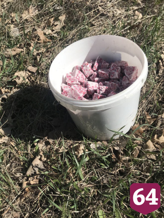 Любителям отдыхать на Кумысной поляне посоветовали чаще мыть руки 