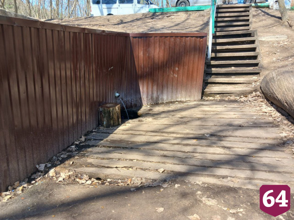 В уникальный лес под Саратовом ходят за здоровьем и целебной водой