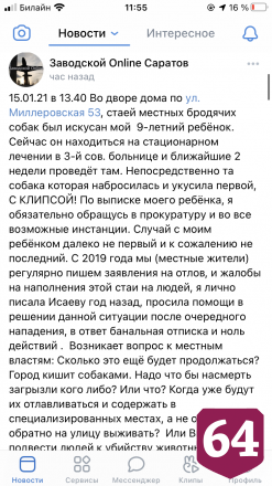 В Саратове 9-летнего мальчика искусали бродячие собаки