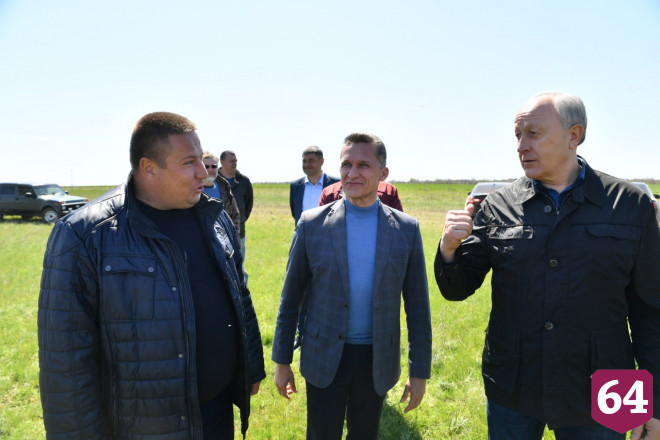 Саратовский губернатор спрогнозировал хороший урожай озимых