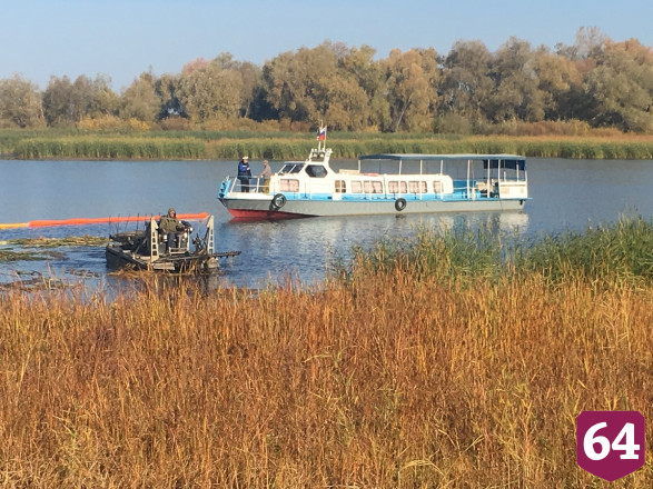 Волгу расчистили от водорослей и выпустили 21 тысячу мальков 