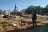 На проспекте Кирова спилят 50 деревьев 