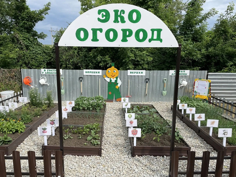 Соцсети восхитил экоогород с необычными грядками в саратовском детсаду