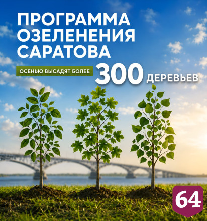 В Саратове высадят 300 крупномеров
