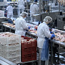 В Саратове готовы платить 125 тысяч за разделку курицы