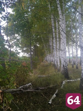 Саратовцы тоскуют о хорошей погоде и фотографируют пейзажи