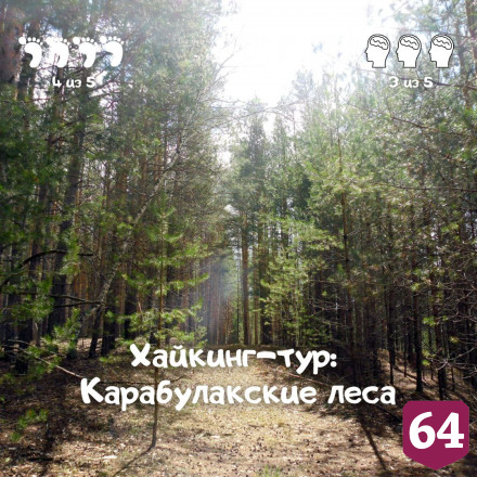 Жителям покажут самый красивый саратовский лес 