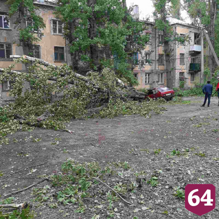В Саратове сильный ветер обрушил дерево на автомобиль