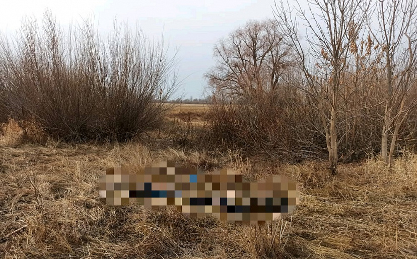 Саратовцы отправились за валежником и нашли мертвеца 