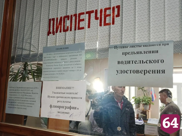 Саратовскую молодежь вдохновил водитель с собакой в стиле техно-арт