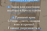 Саратовский кинолог озвучила правила поведения с бродячими собаками