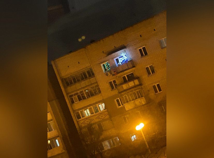 Саратовцы поблагодарили хозяев квартиры с оленем за новогоднюю сказку