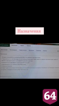 Саратовская юристка ищет любящую семью пожилой собаке