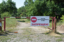 Губернатор поручил проверить защиту саратовских лесов от пожаров 