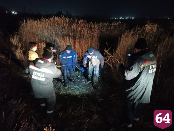 В Елшанке спасатели вытащили увязшего в камышах алабая