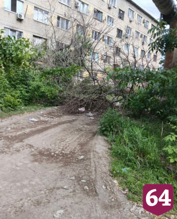В Саратове рухнувшее дерево мешает машинам скорой