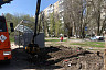 Регоператор за неделю вывез 3500 кубометров опилов деревьев
