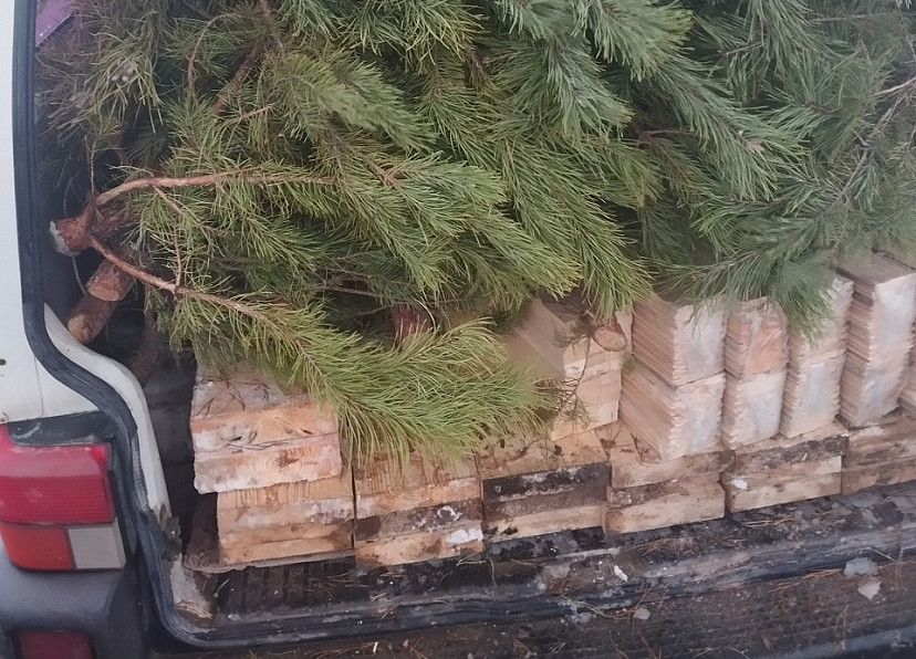 В Казахстан из Саратовской области не выпустили автомобиль с новогодними елями