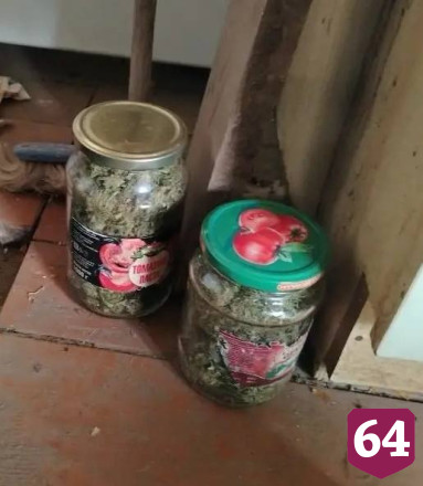 У жителя Энгельса изъяли крупную партию марихуаны