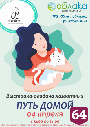 Жителям Саратова предложат погладить кошек в торговом центре
