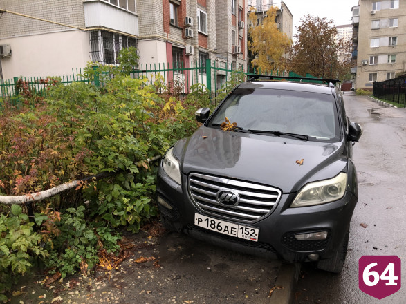 В Саратове автохам на внедорожнике каждый день «притворяется цветочком»