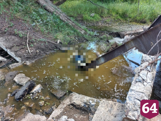 Пастух обнаружил в водоеме под Саратовом тело мужчины