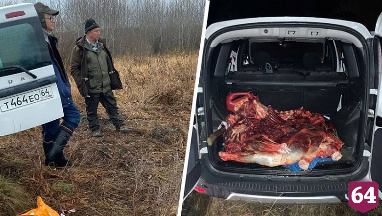 Депутата Госдумы Рашкина осудили за убийство лося под Саратовом