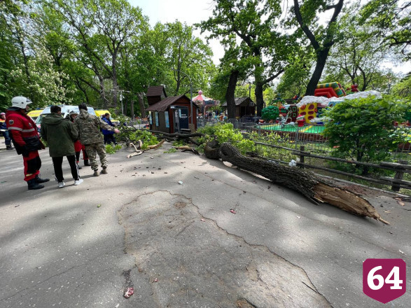 Городской парк Саратова готовят к открытию после гибели людей от дерева