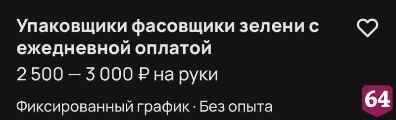 В Саратове фасовщикам зелени готовы платить 3 тысячи в день