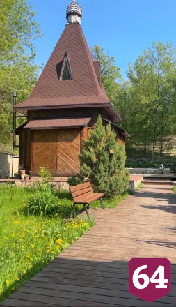 Врач встретил под Саратовом клубок злых змей
