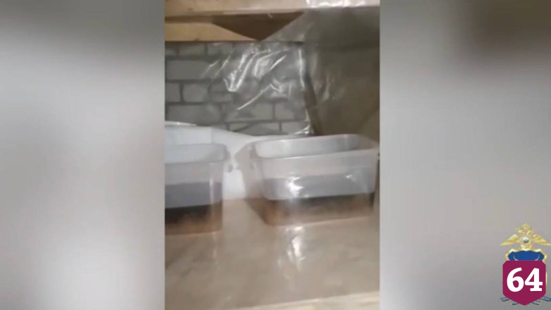Братьев задержали за подпольную нарколабораторию в Саратове